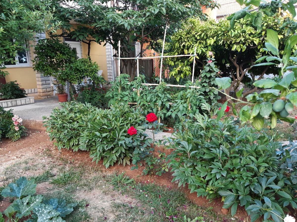 Apartment Jardin With Free Cowered Parking Zadar Extérieur photo
