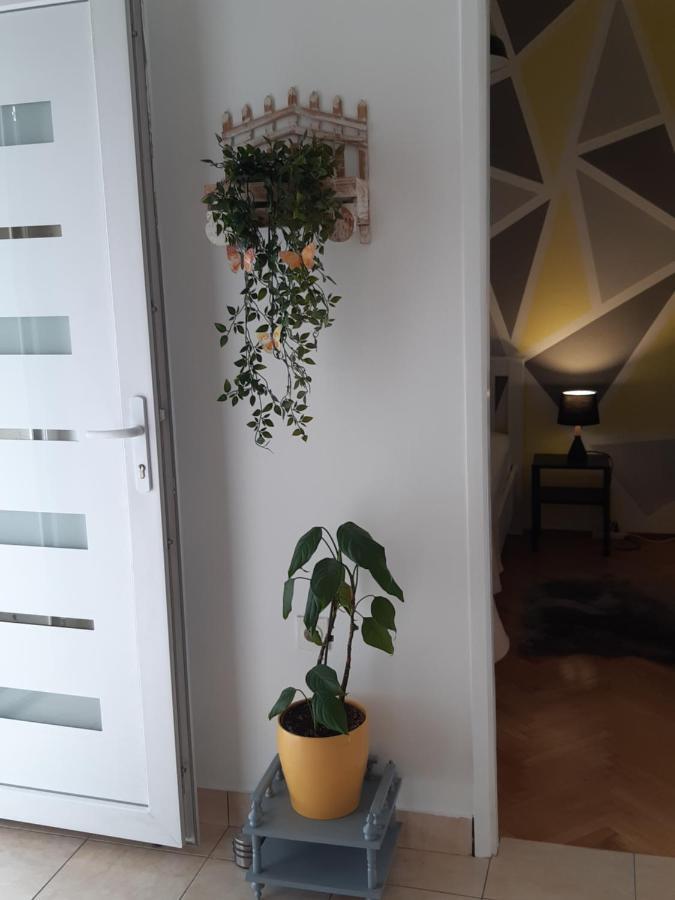 Apartment Jardin With Free Cowered Parking Zadar Extérieur photo