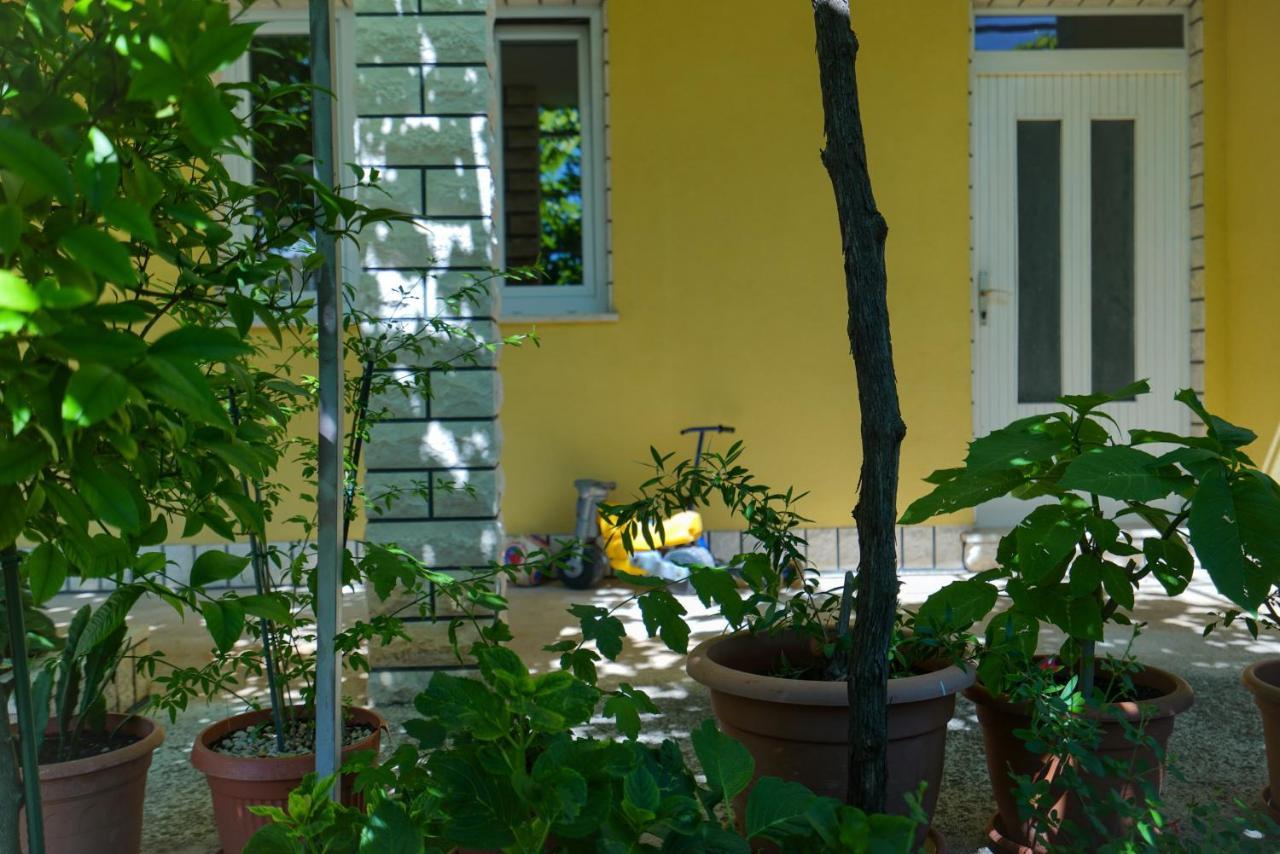 Apartment Jardin With Free Cowered Parking Zadar Extérieur photo